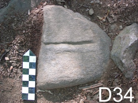 D34-SM