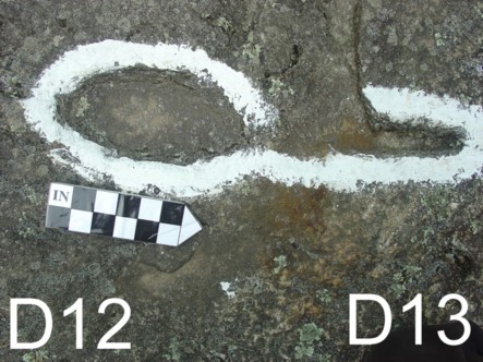 D12-&-D13-SM D12-&-D13-SM