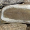 Icon-River-Petroglyph