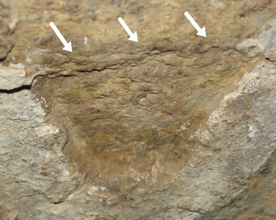 America's Stonehenge - Native American Pecked Trapezoid Shaped Petroglyph