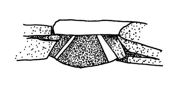 Fig8-South Facing Chamber1